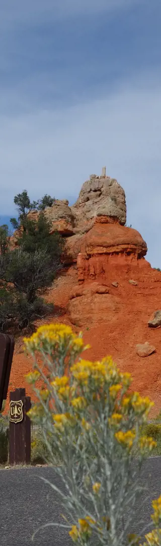 Red Canyon